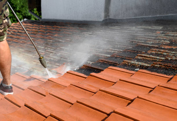 Best Residential Pressure Washing Services  in Moss Bluff, LA