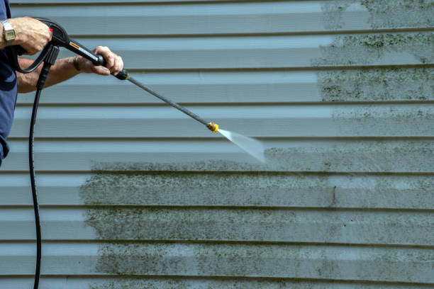 Professional Pressure Washing in Moss Bluff, LA