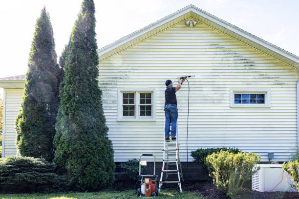 Best Affordable Power Washing  in Moss Bluff, LA